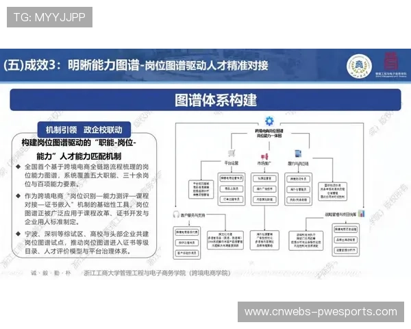 复合型体育数字资产管理人才需求旺盛，培养体系逐步构建